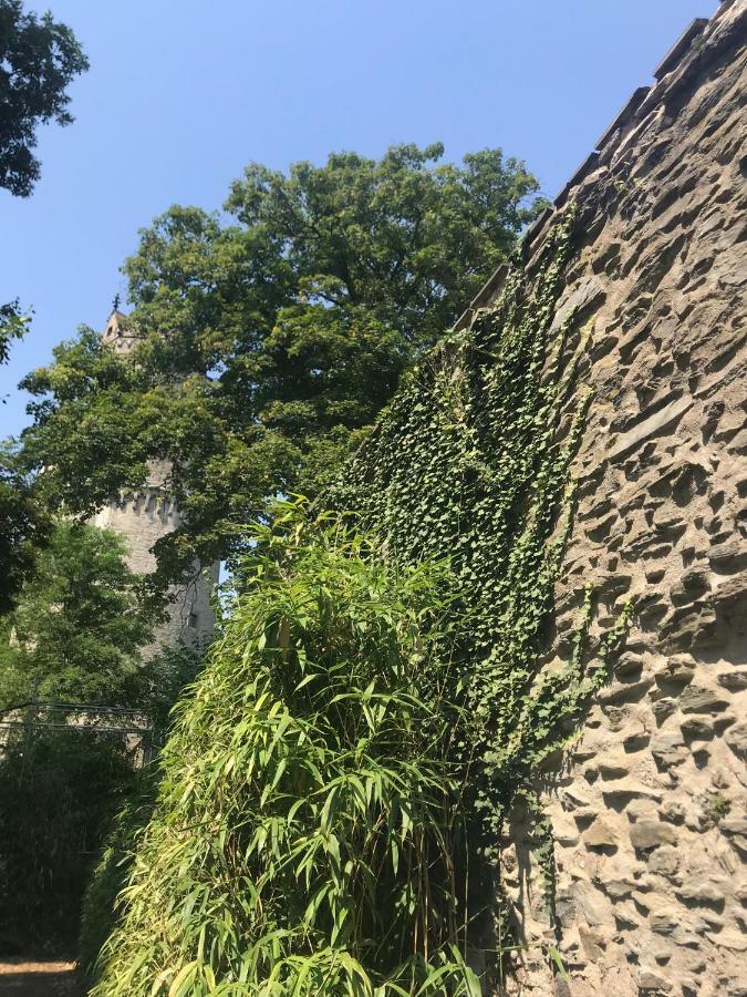 Back To School Apartment Andernach Exterior foto